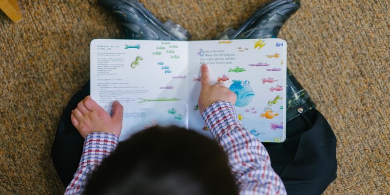 cómo aprende nuestro cerebro